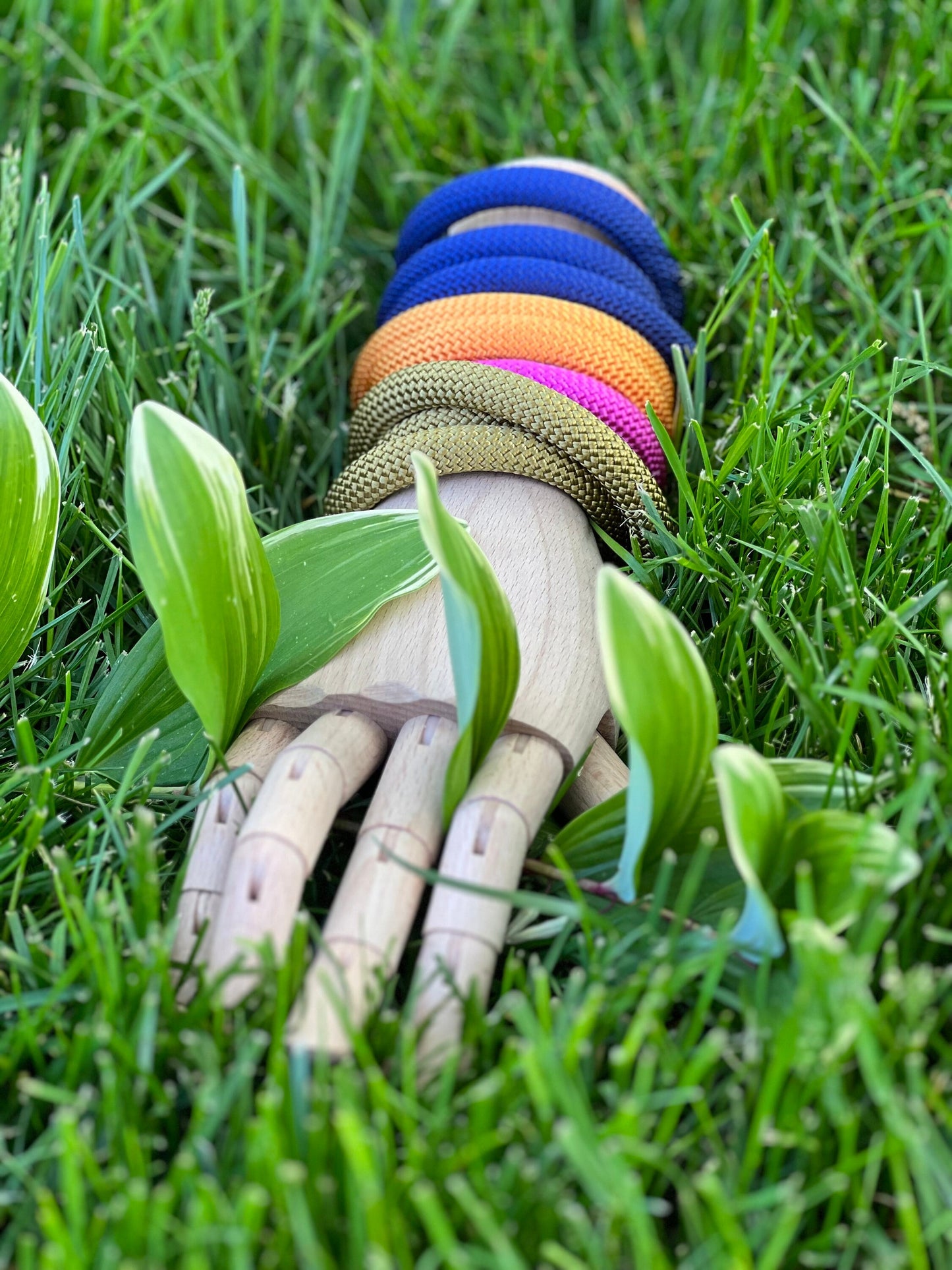 EVOLVE: A Modern Modular Accessory